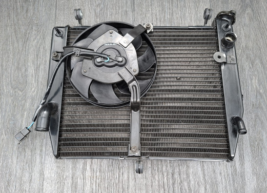 Kuhler Yamaha YZF R1