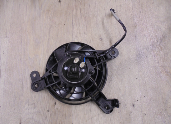 Fan Triumph Tiger 900 Rally Pro