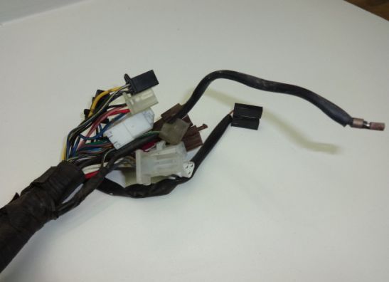 Wire Harness Yamaha FAZER 600