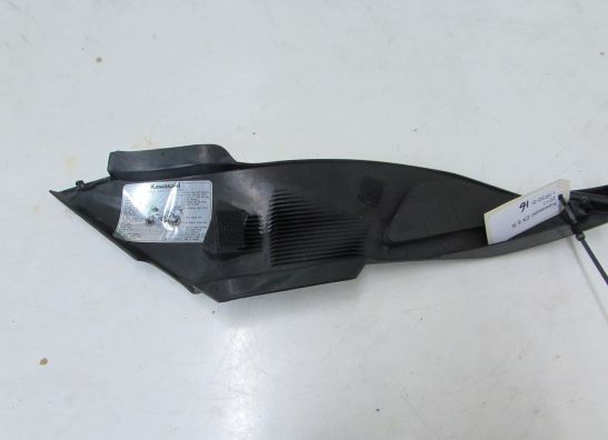 Tank Kawasaki ZX 6 R