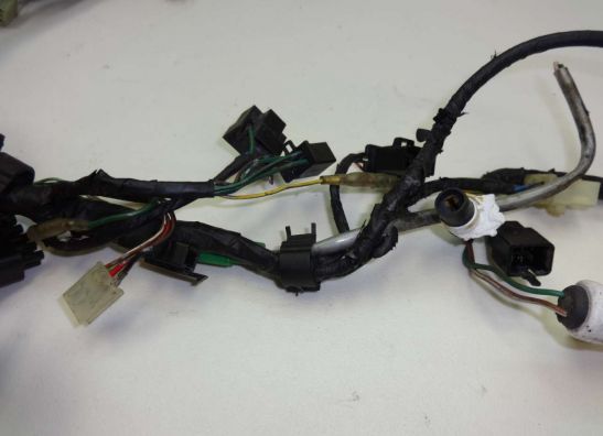 Wire Harness Honda ST 1100 Pan European