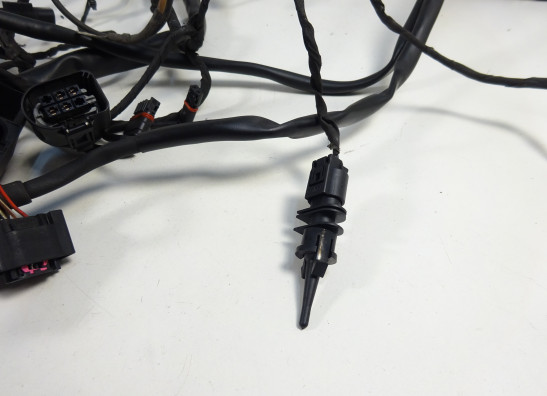 Kabelboom BMW F 650 GS