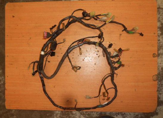 Wire Harness Kawasaki ZZR 600