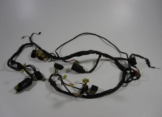 Wire Harness Honda Deauville 650 - 700