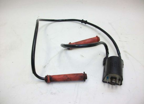 Bobine Honda PC 800