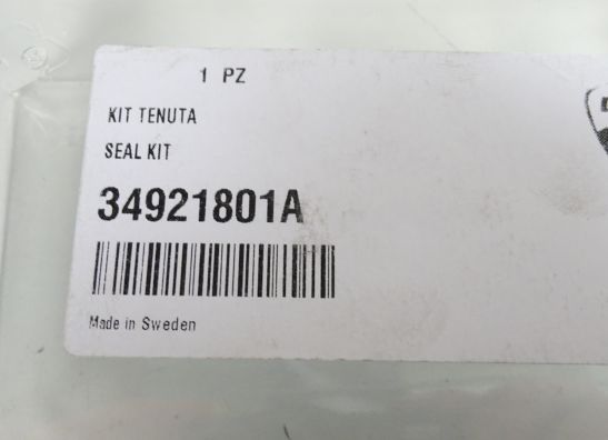 Front pipes Ducati 1299 Panigale