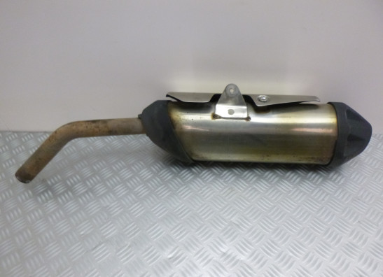 Auspuff Triumph Tiger 800