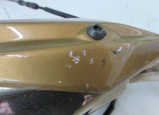 Auspuff Kawasaki Z 1000