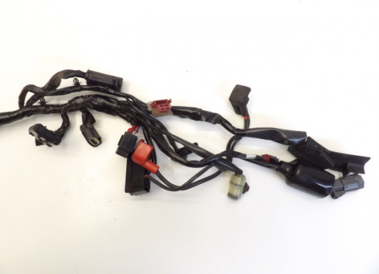 Kabelboom Honda CBR 500 R