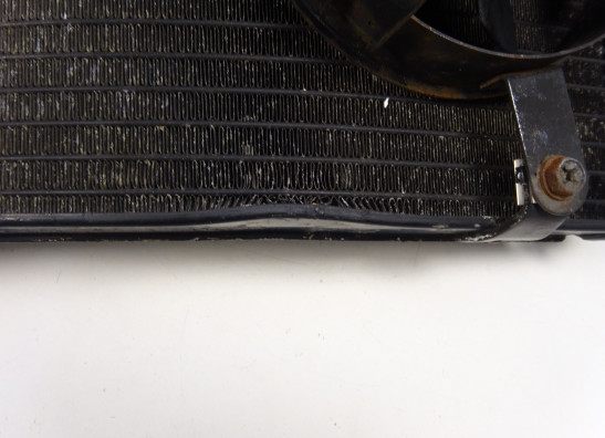 Radiateur Ducati 749  999