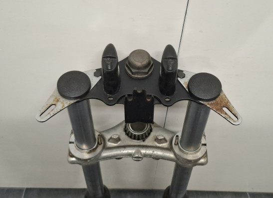 Voorpoten compleet BMW R 100 Rs