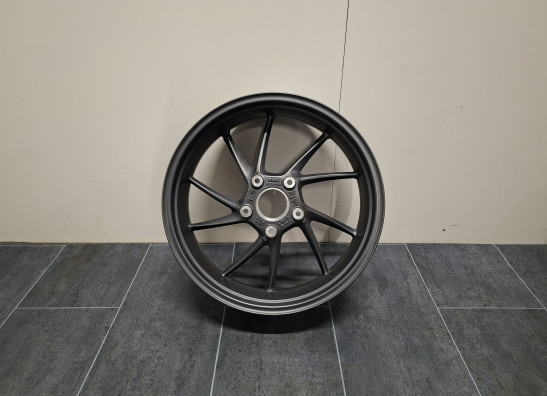 Achtervelg BMW R 1250 R