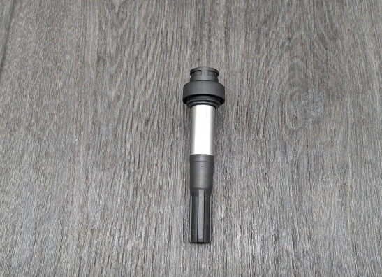 Bobine BMW F 800 S - ST