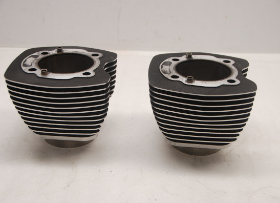 Cylinders Harley Davidson Softtail