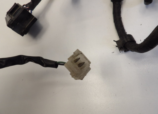 Kabelboom Honda CBR 600 F