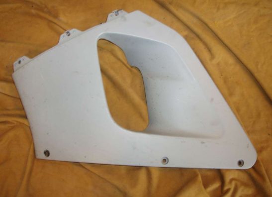 Seitenverkleidung links klein Honda CBR 900 RR