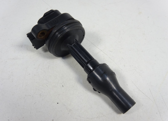 Bobine Triumph 955 daytona