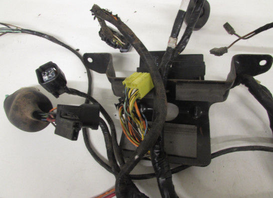 Kabelboom voor Suzuki GSX F 600