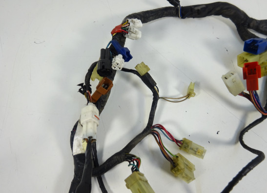 Wire Harness Yamaha TDM