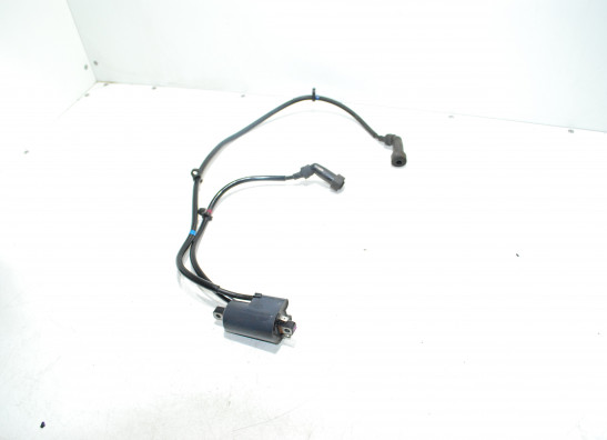 Bobine Yamaha XJ 900 S Diversion