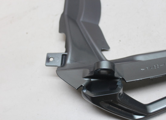 Achterhandvat Yamaha FZ1