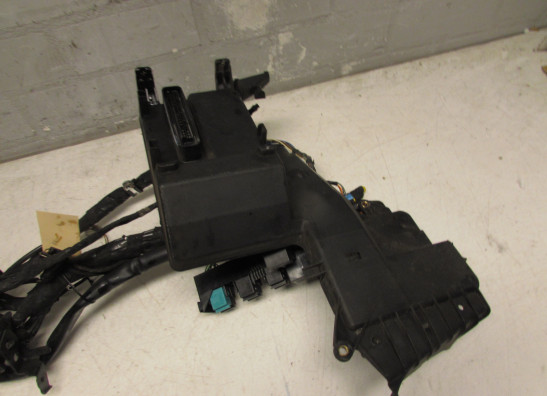 Kabelbaum BMW K 1200 RS