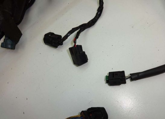 Kabelbaum Kawasaki ER 6