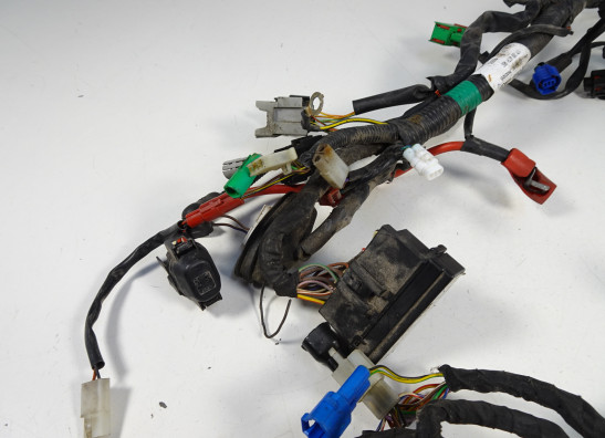 Kabelboom KTM 125 Duke