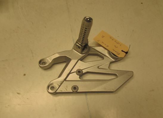 Rechter schetsplaat BMW R Nine T