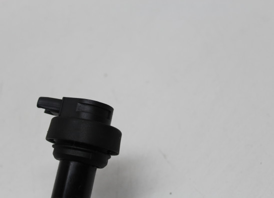 Bobine BMW F 800 S - ST