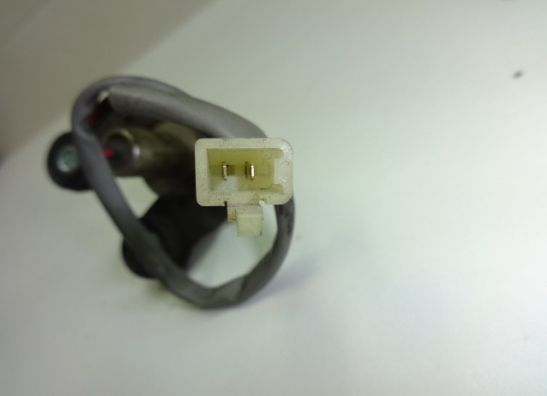 Kennzeichenhalter Kawasaki ZZR 1100