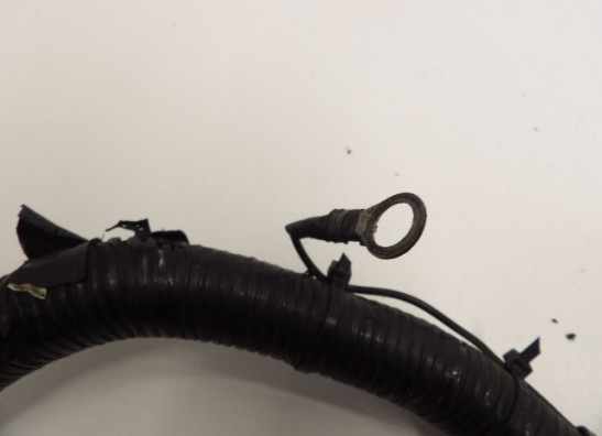 Kabelboom Triumph Trophy 900