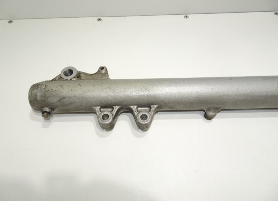 Standrohr Gabelholm links komplett BMW F 650