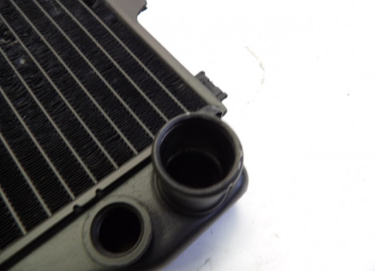 Kuhler Kawasaki ZZR 1100