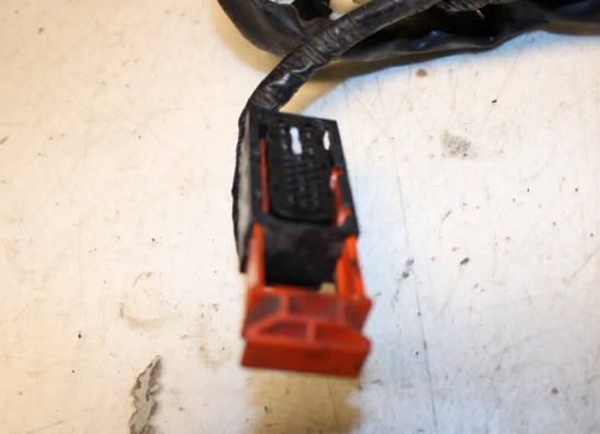 Kabelboom Honda CBF 500