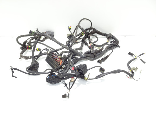 Kabelbaum Ducati monster 600