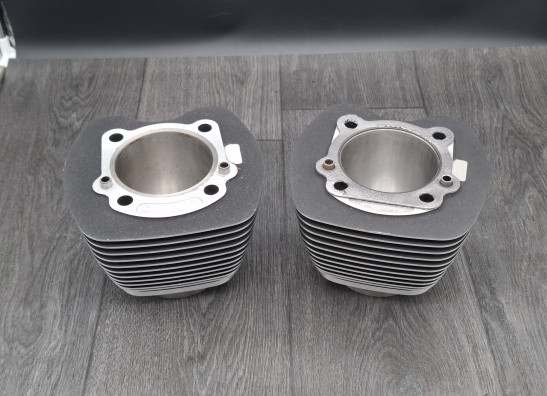 Cilinderkop Harley Davidson FLSTF Fat Boy