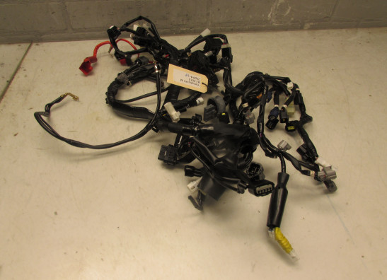 Kabelbaum Yamaha YZF R1