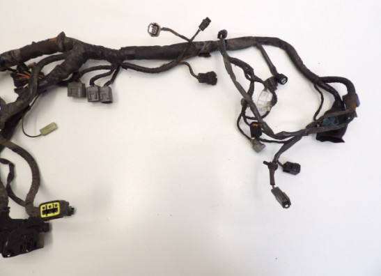 Kabelbaum Kawasaki VERSYS 650