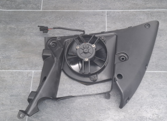 Fan Buell 1125 R