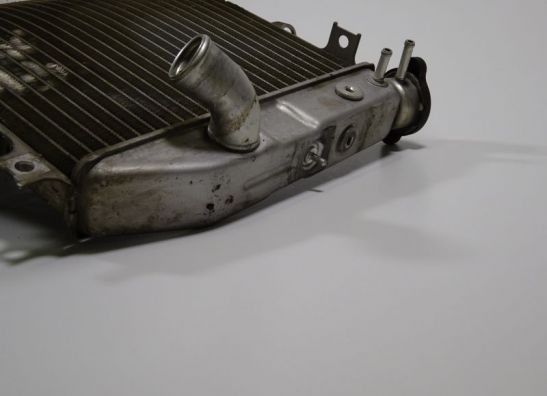 Radiator Suzuki GSX R 1000