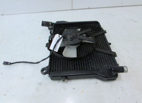 Radiator Kawasaki GPZ 1100