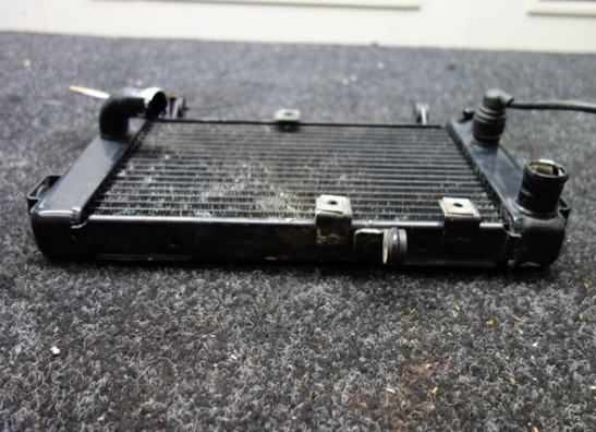 Radiateur Suzuki SV 650