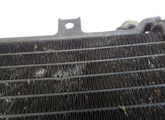 Radiateur Kawasaki ZZR 600