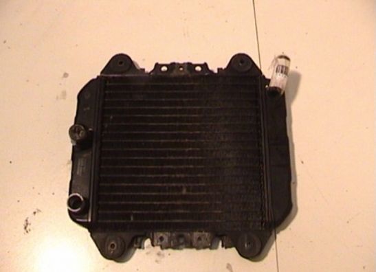 Radiateur Kawasaki ZZR 250