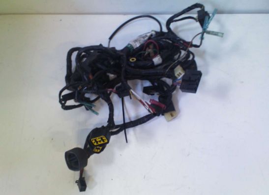 Wire Harness Kawasaki ZX 6 R