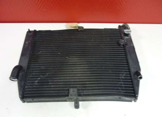 Radiator Yamaha YZF R1