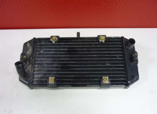 Radiateur Yamaha YP 400 Majesty