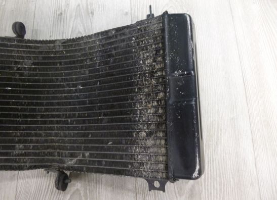 Radiator Suzuki GSX R 750