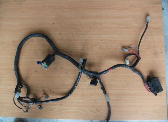Wire Harness Yamaha XJ 600 Diversion